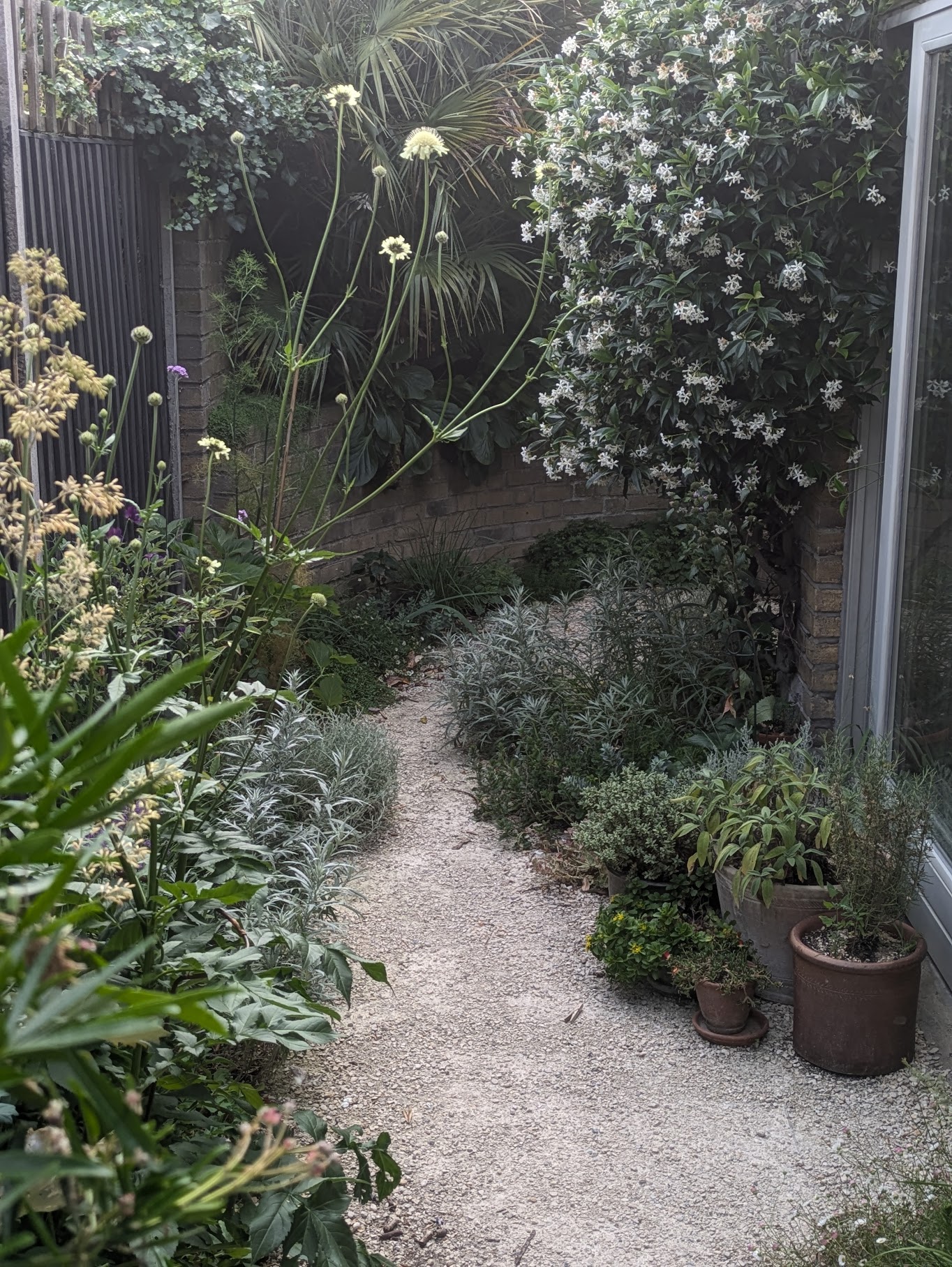 Vivus Naturæ Studio - Patio Garden